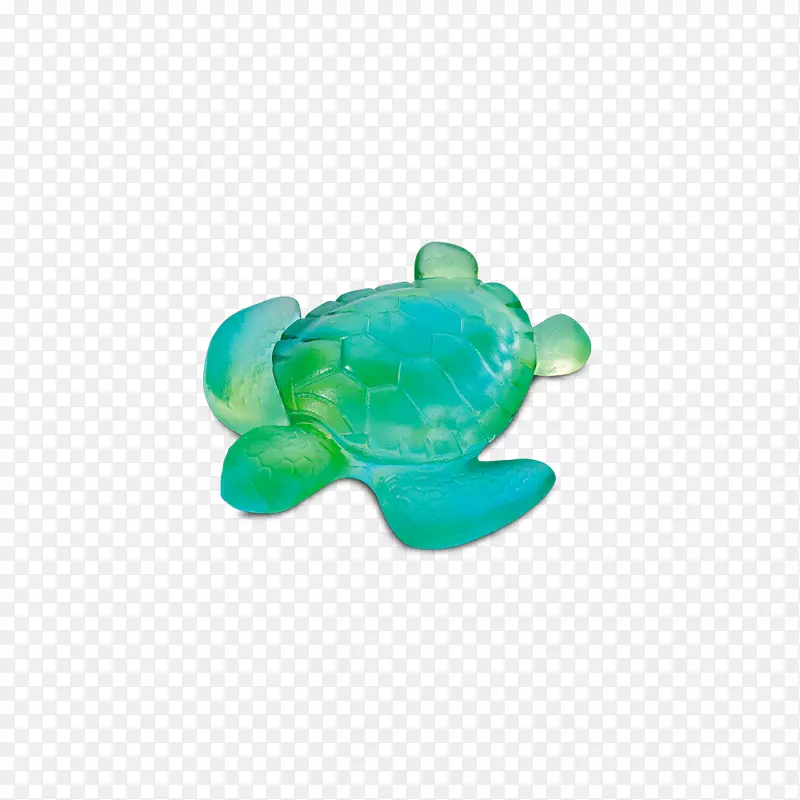 海龟蓝绿海龟