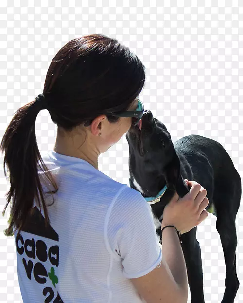 犬种医药电子小狗