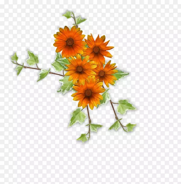 花画剪贴画-花
