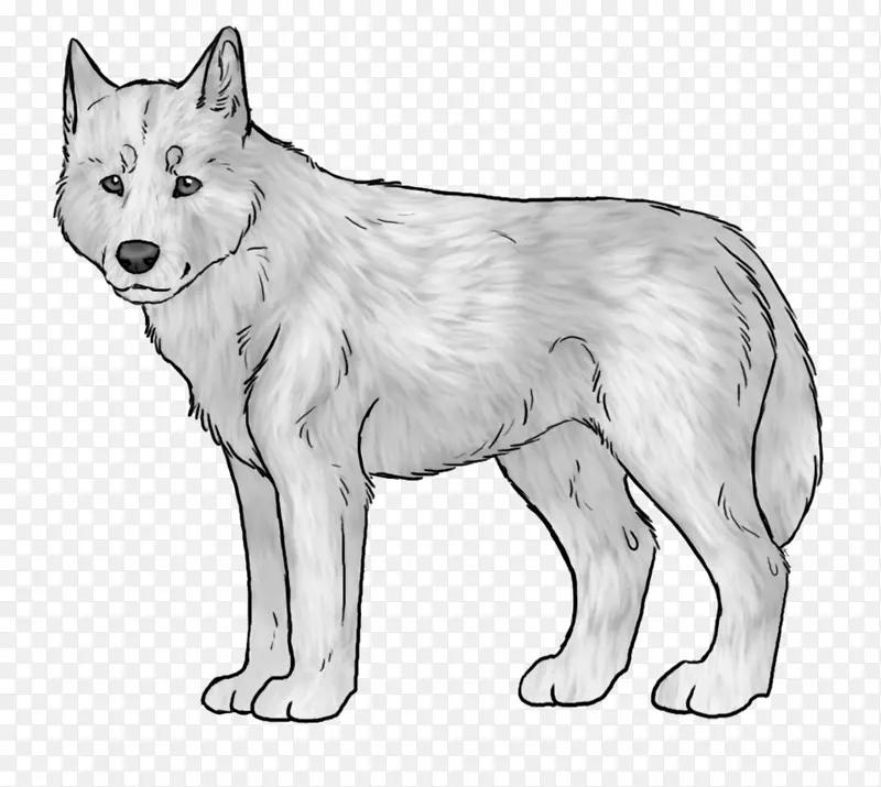 萨鲁士狼狗捷克斯洛伐克狼狗西伯利亚哈士奇加拿大爱斯基摩犬塞帕拉西伯利亚雪橇犬-小狗