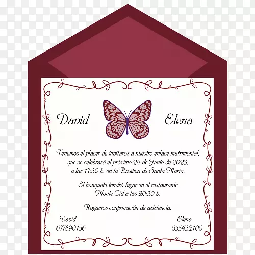 婚礼邀请函，女主角，蝴蝶和飞蛾-婚礼