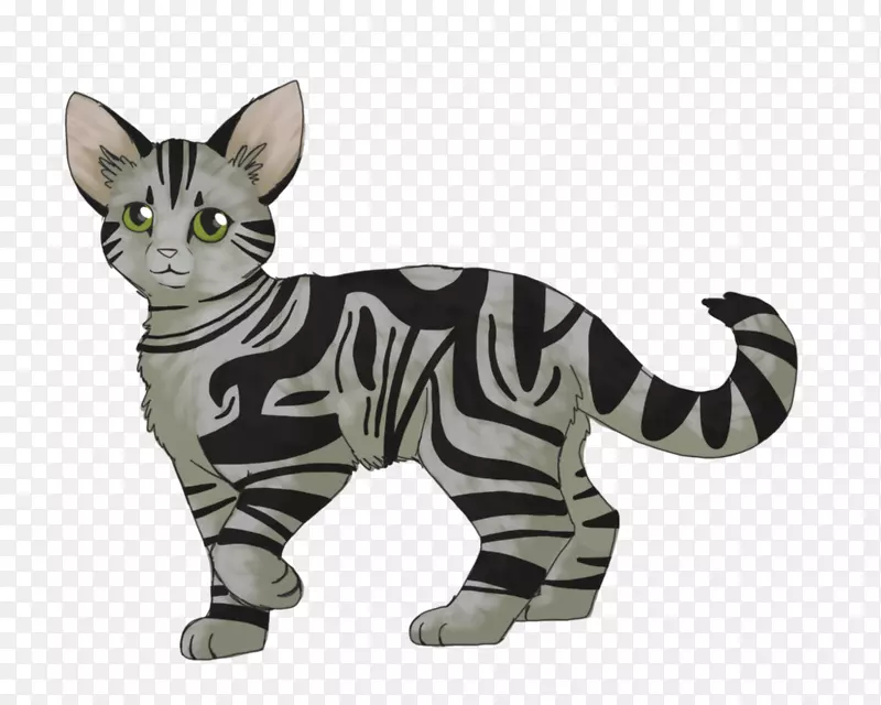 小胡子猫家养短毛猫尾猫
