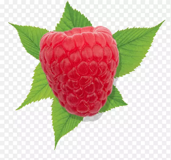 草莓红覆盆子Driscoll‘s-草莓