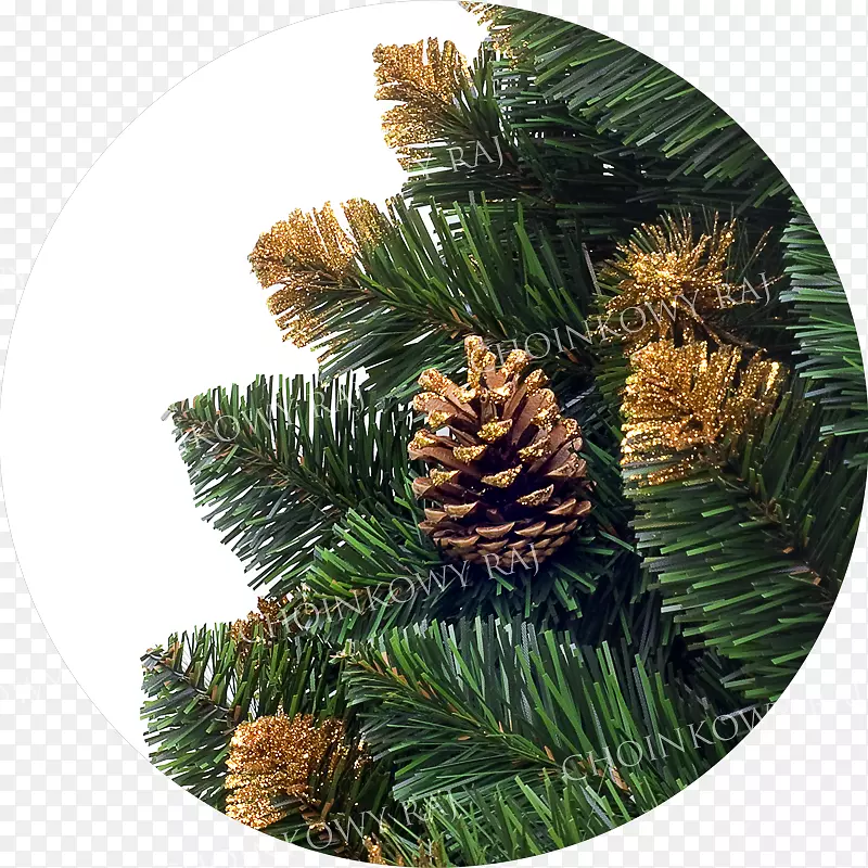 杉木云杉圣诞装饰松树-圣诞节