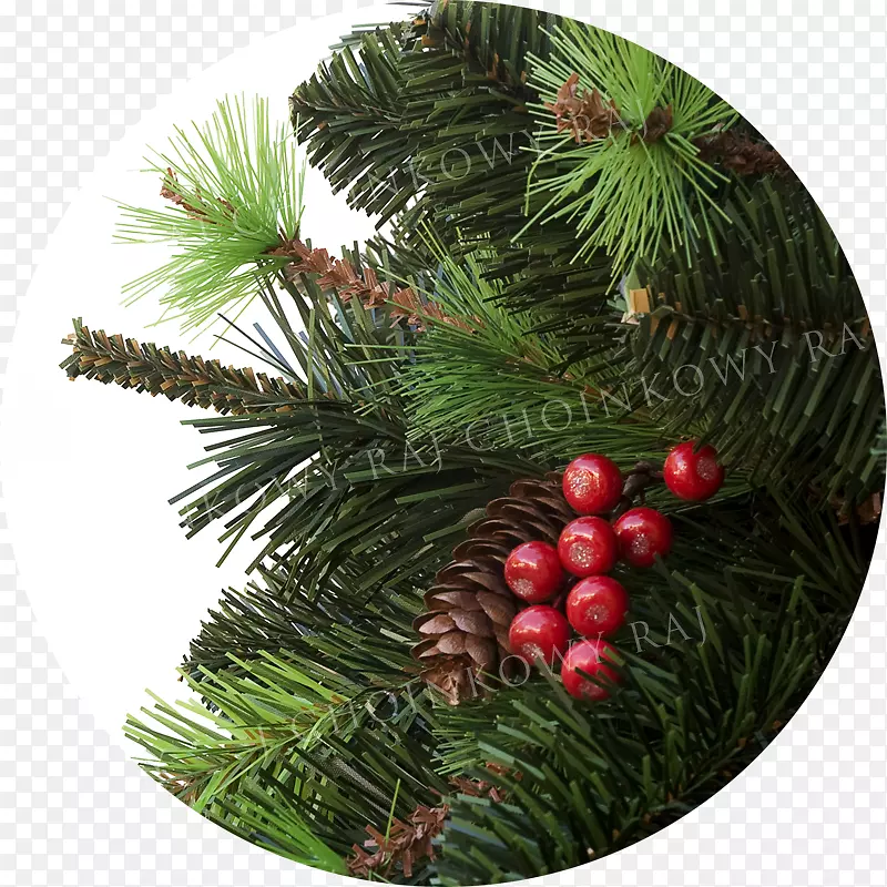 松树圣诞装饰云杉-圣诞节
