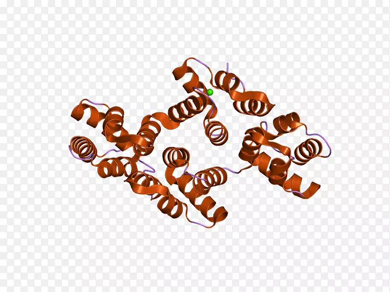 商标字体-磷脂酶a2