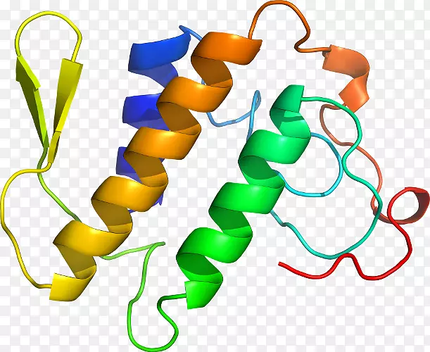 有机体线夹艺术.磷脂酶a2