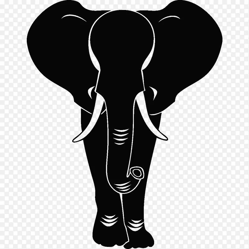 印度象非洲象-非洲