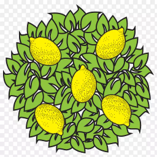 柠檬树精品花卉设计切花向日葵电子邮件柠檬植物