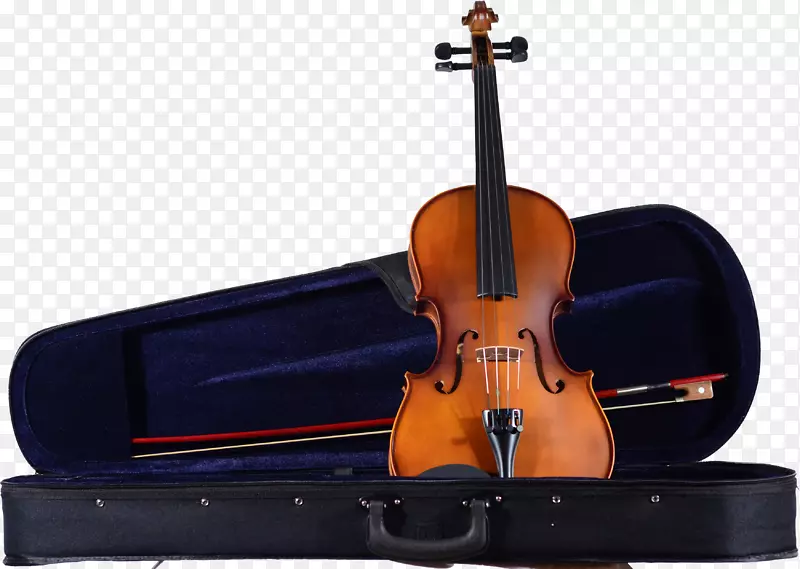 小提琴中提琴大提琴弦乐器小提琴