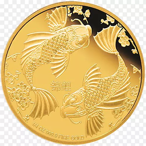 瓦多达拉金币圆鱼-硬币