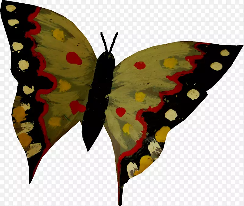 帝王蝶，毛茸茸的蝴蝶，飞蛾-蝴蝶