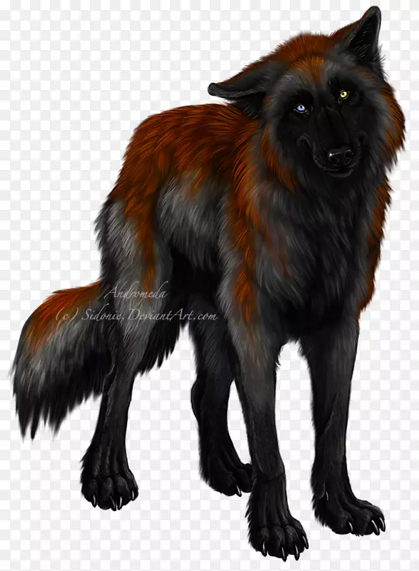 红狐狗繁殖狼和狐狸狗