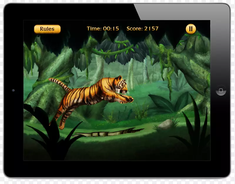 虎猫生态系统动物野生动物-老虎