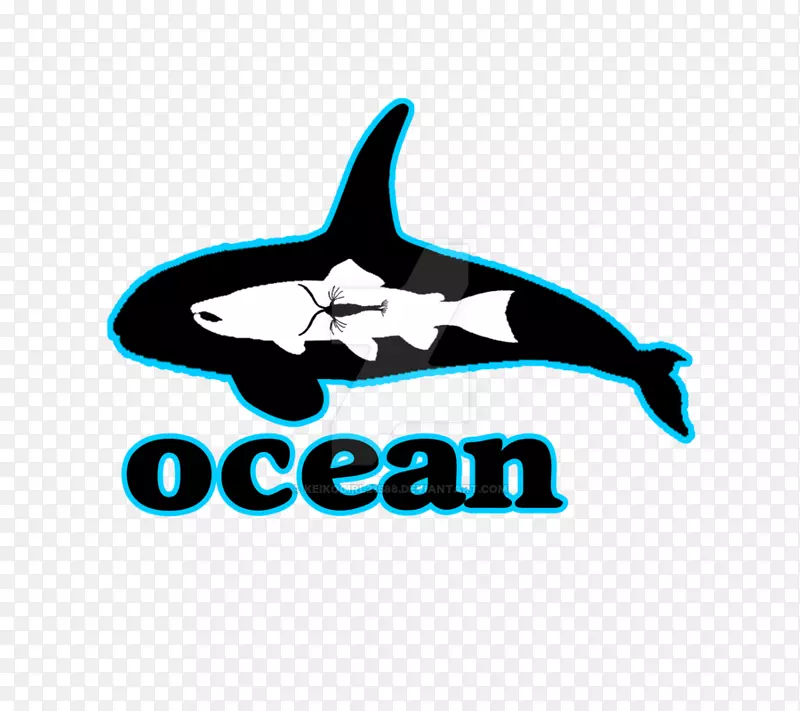 海豚标志鲨鱼品牌字体-海豚