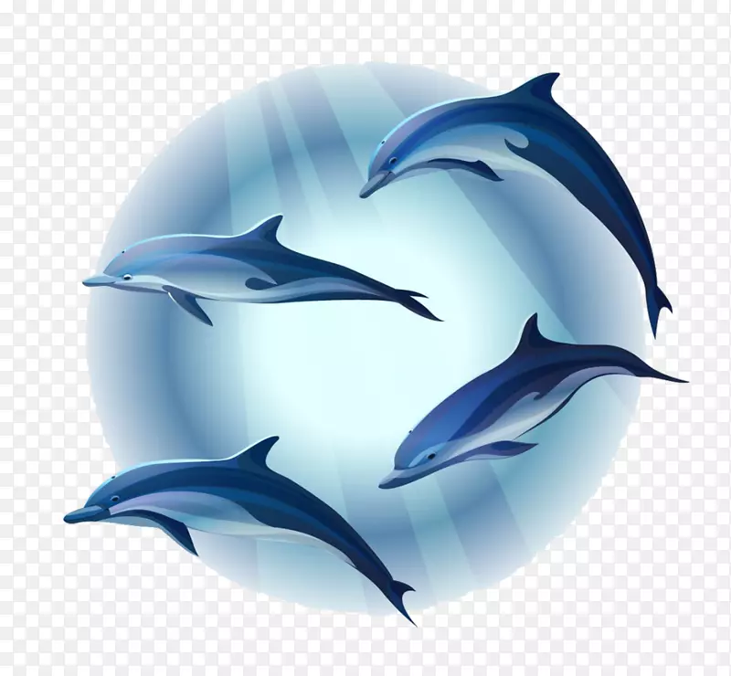 海豚壁画-海豚