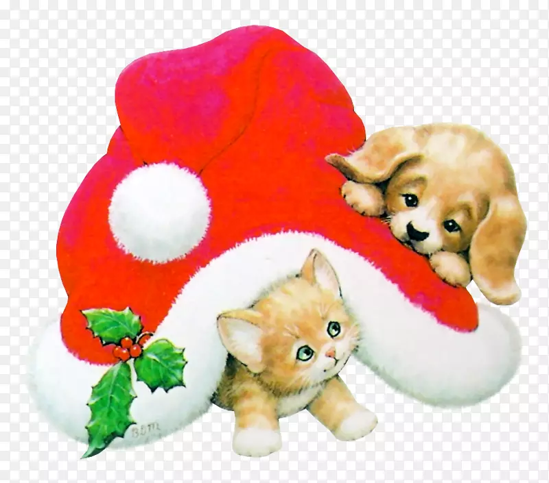 小猫圣诞猫狗猫
