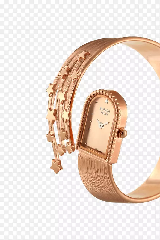 手表表带泰坦公司模拟手表女子手表