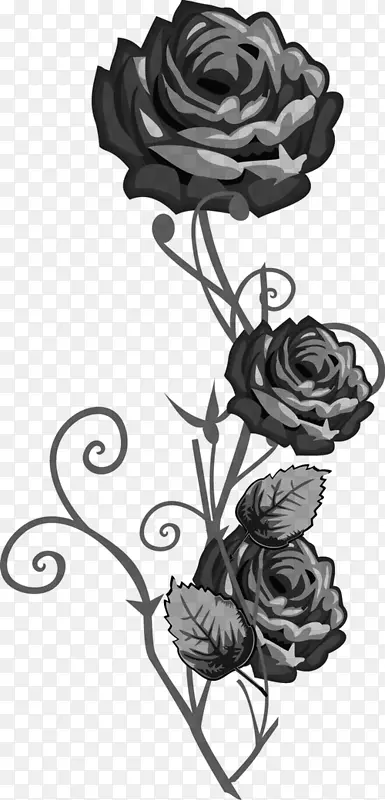 花园玫瑰黑白视觉艺术花卉