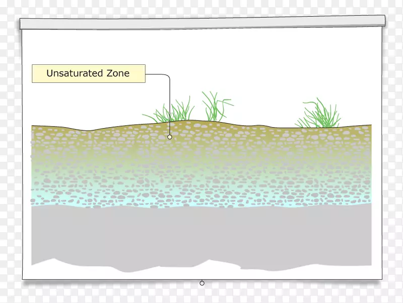 水资源矩形草坪动物知识检查