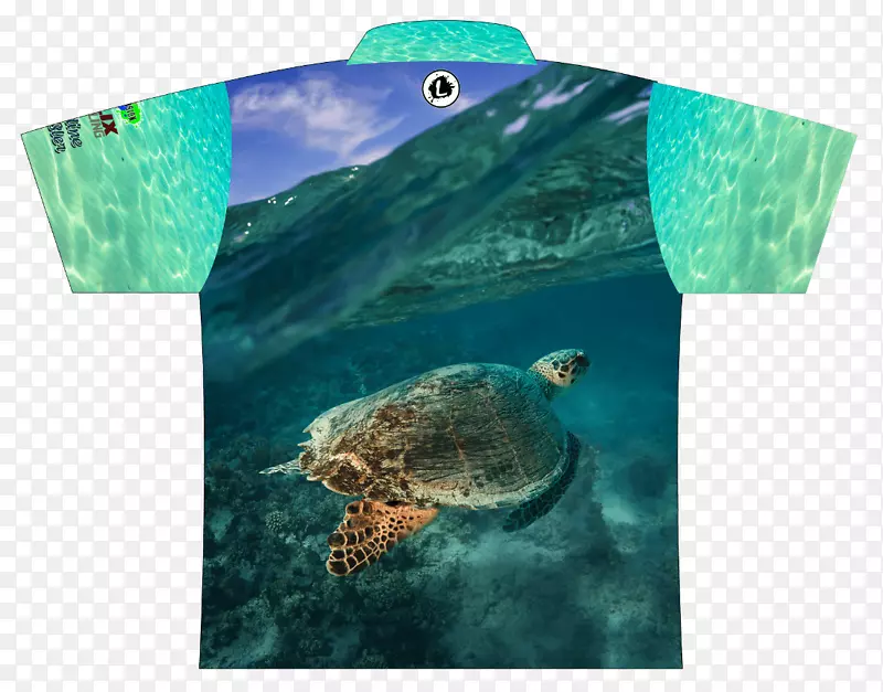 甲鱼海龟生态系统海洋生物动物-海龟