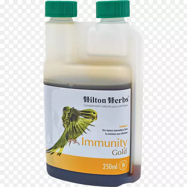 鸟类石鸽膳食补充剂免疫系统-鸟类