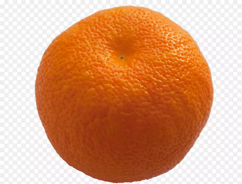 金门莲，橘子，血橙-葡萄柚