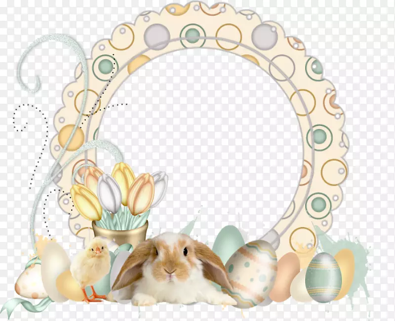 欧洲兔子复活节兔子袖口-兔子