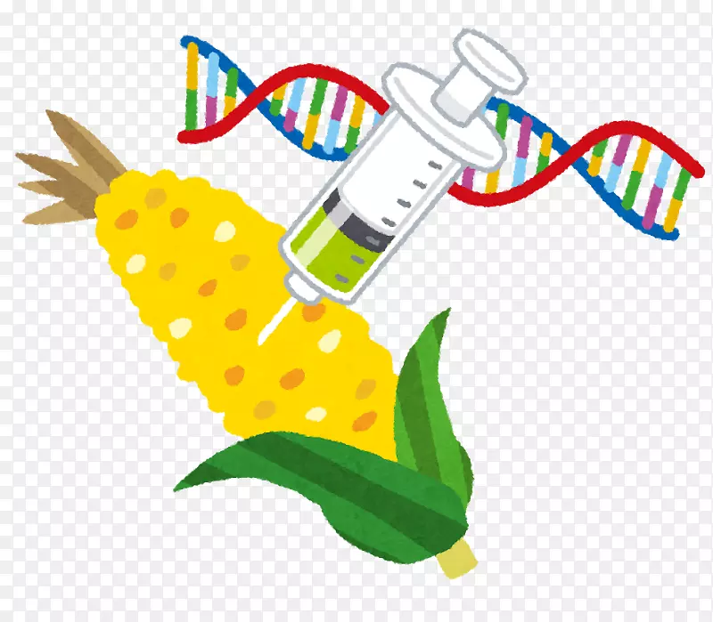 转基因食品转基因作物基因工程玉米