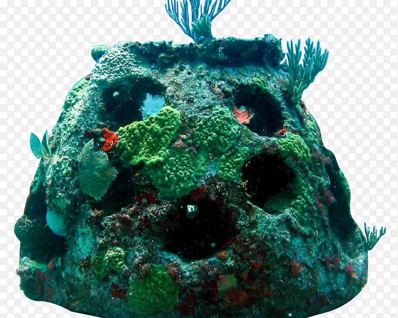 礁球基础人工礁珊瑚礁海-海