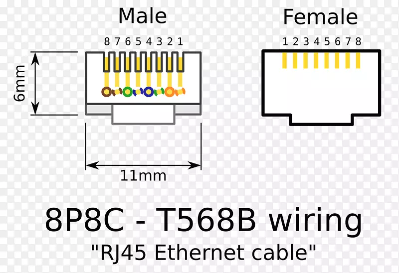 5类电缆接线图8p8c电连接器以太网-CT 5