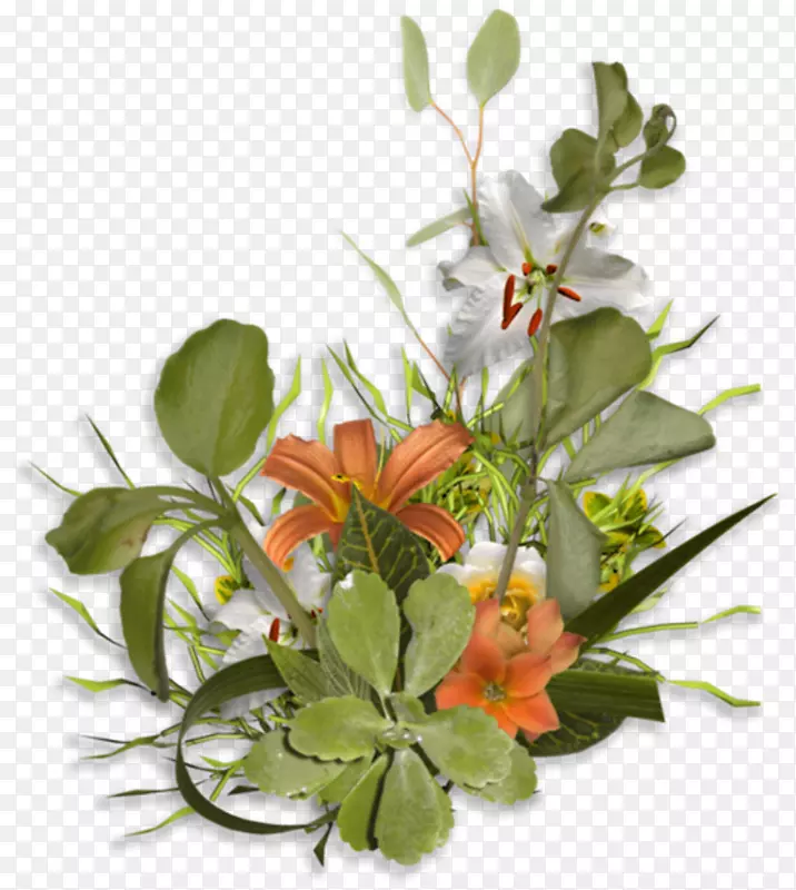 花卉设计-植物
