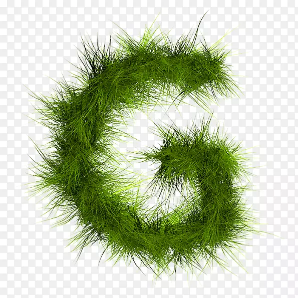 字母字母表绿色字体-真草