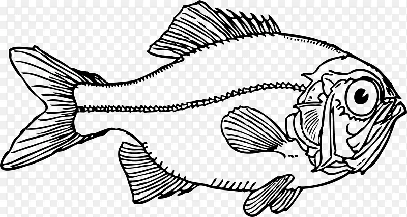鱼线艺术剪贴画-鱼