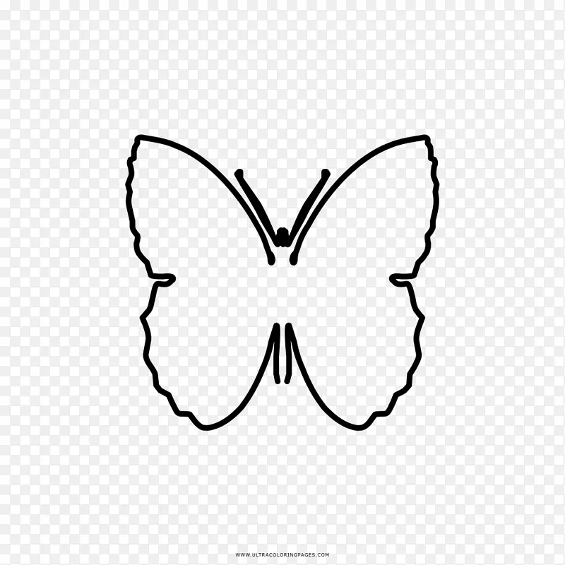 毛茸茸的蝴蝶画彩绘书黑白蝴蝶