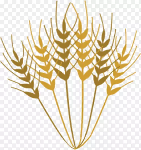 食品商品系列草剪贴画-小麦的金穗