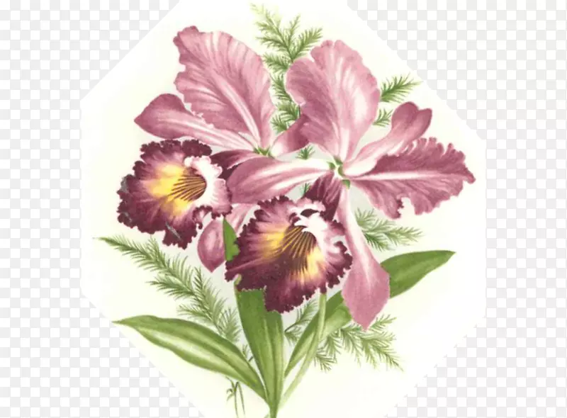 花卉设计切花紫罗兰花瓣