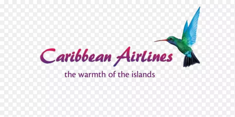 皮亚尔科国际机场切迪贾根国际机场加勒比航空有限公司航班广告