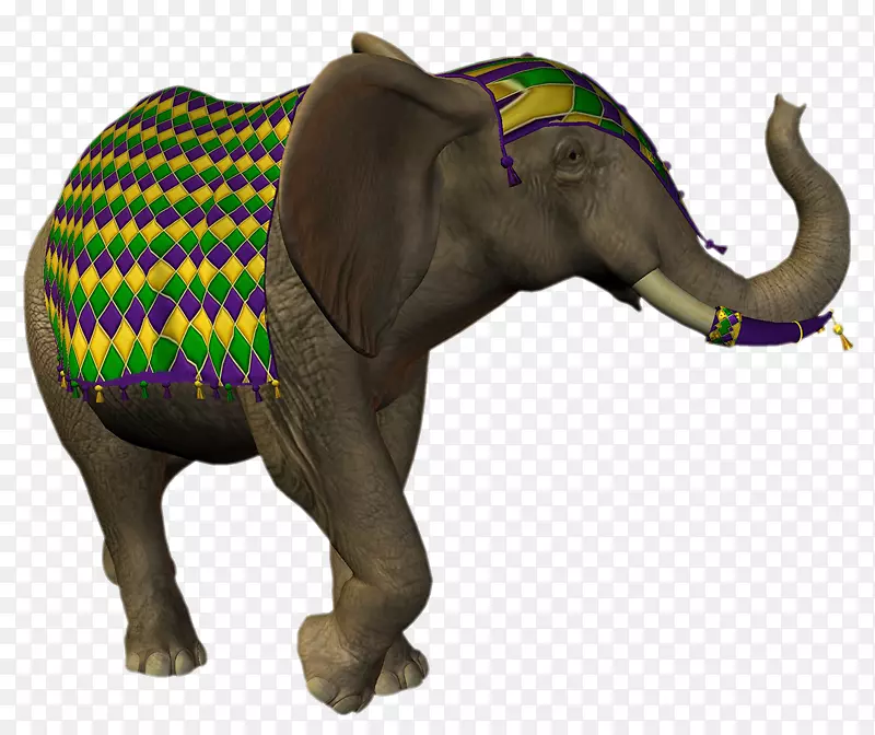 印度象非洲象埃及象