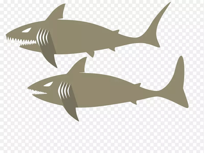 虎鲨，鳞状鲨鱼，海鲨，海洋白尖鲨，软骨鱼-鱼