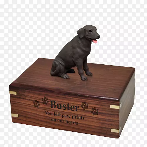 金石子杜伯曼彭布罗克威尔士火葬-拉布拉多猎犬