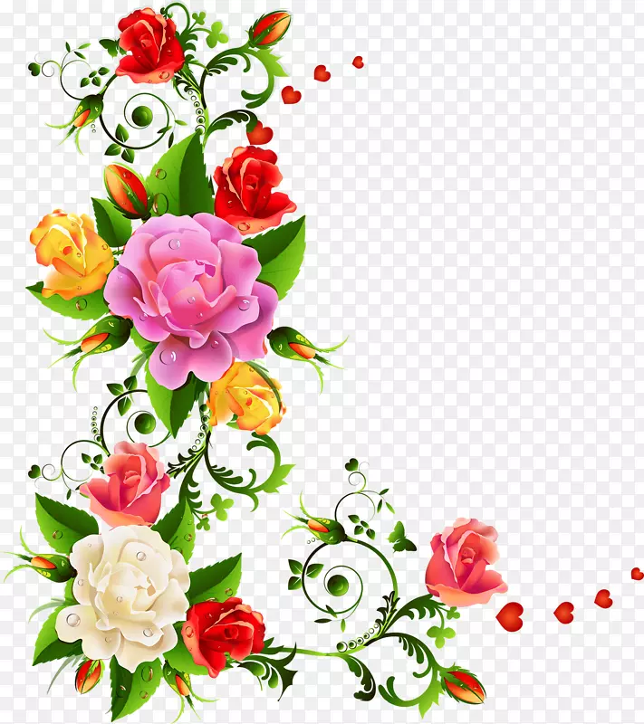 花园玫瑰花卉设计切花-цветыакварель
