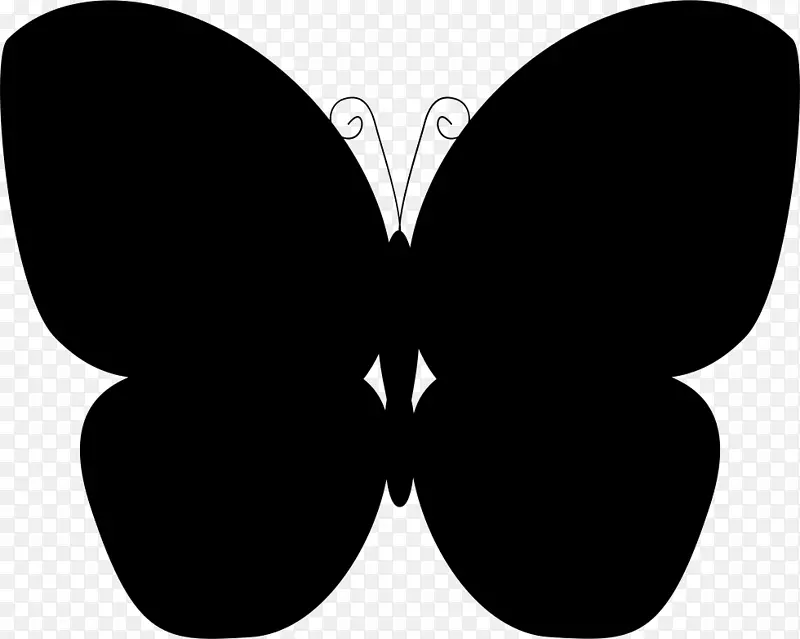 蝴蝶几何形状昆虫下载-蝴蝶