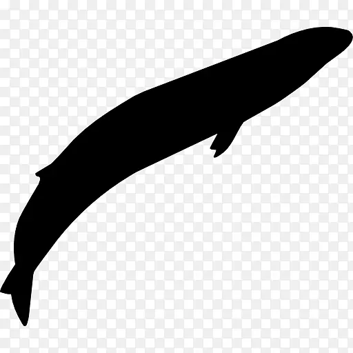 电脑图标“灵丹妙药”灰鲸