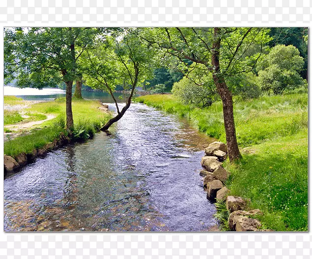 河支流河岸区景观的溪流剪辑艺术