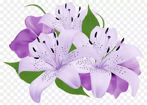 紫花剪贴画-水彩丁香