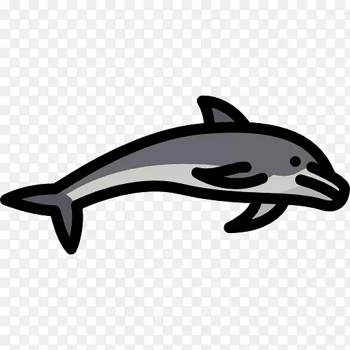 普通宽吻海豚汽车设计-海豚图标