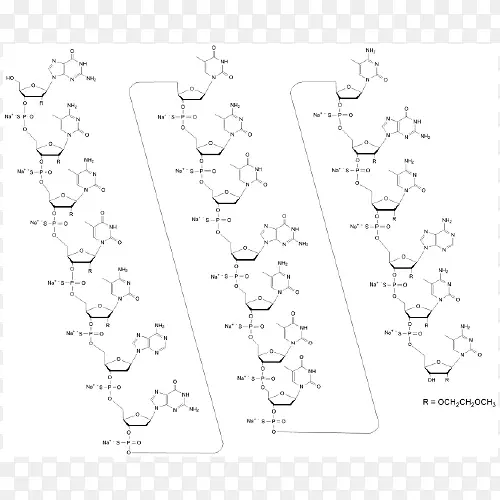 白点线ART角非蛋白质性氨基酸角
