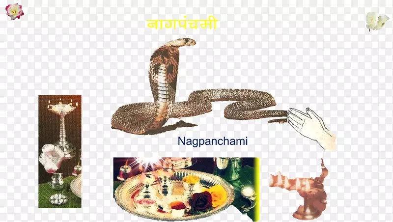 Naga Panchami shraavana月-人