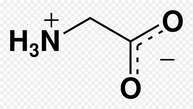 甘氨酸受体两性离子氨基酸NMDA受体-两性离子